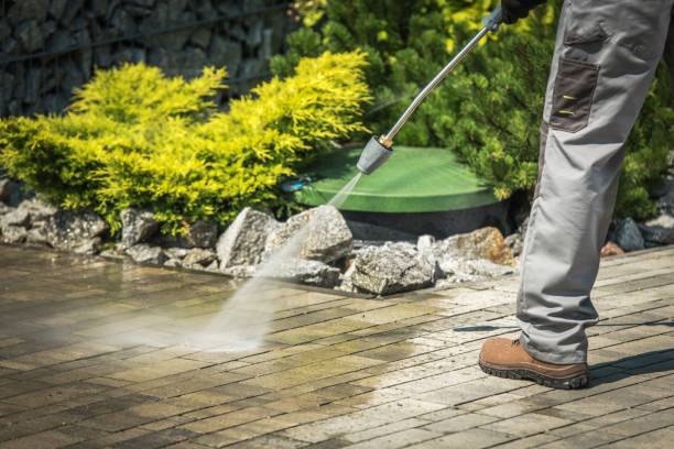 Animal Enclosure Cleaning in Roseville, CA